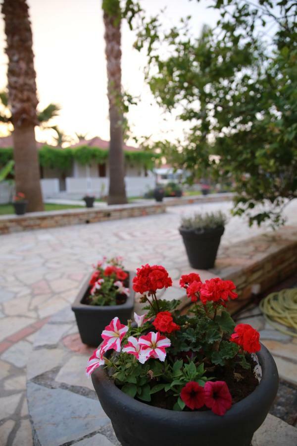 Margarita Hotel لاغاناس المظهر الخارجي الصورة